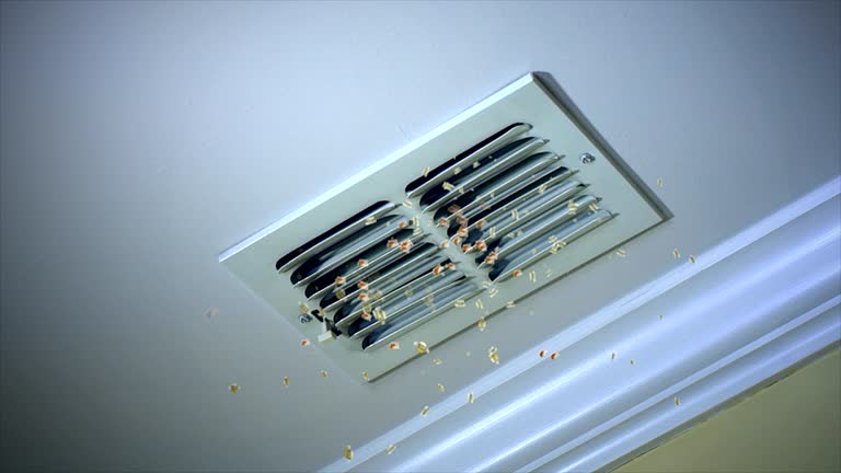 Best Best Air Duct Cleaning Company  in Cowan, TN