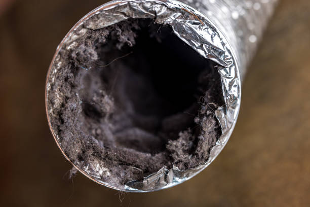 Best Commercial HVAC Duct Cleaning  in Cowan, TN