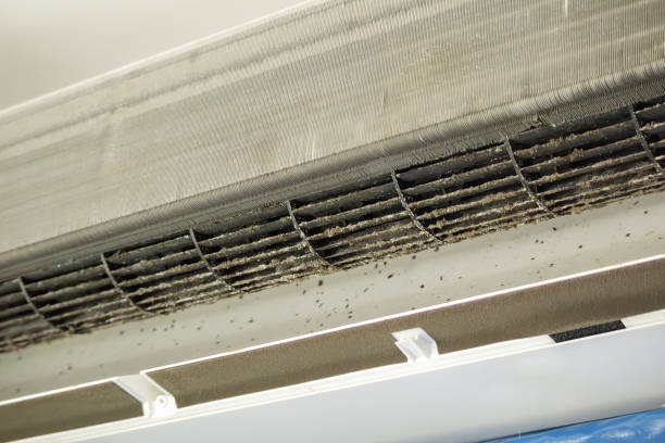 Best Commercial Air Duct Cleaning  in Cowan, TN
